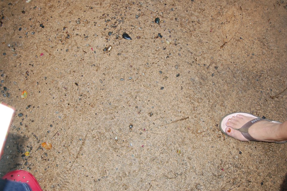 SUMMER (490)